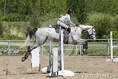 Horse jumping