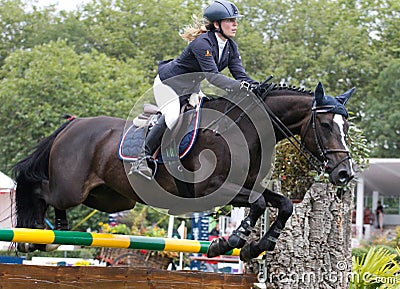 Horse jumping competition