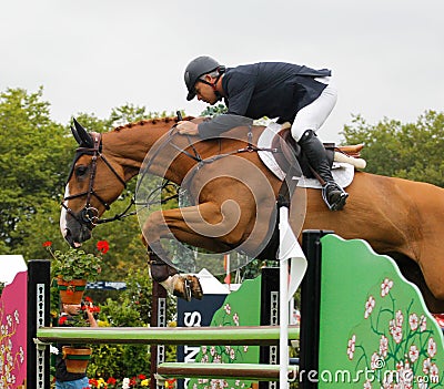 Horse jumping competition