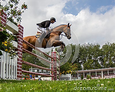 Horse jumping competition