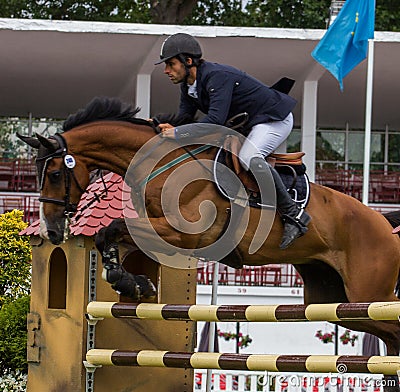 Horse jumping competition