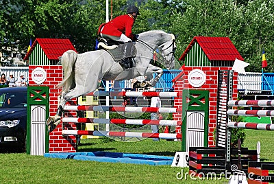 Horse jumping hurdle