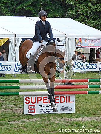 Horse jumping show