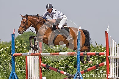 Horse jumping show