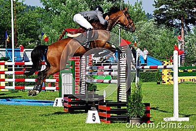 Horse jumping show