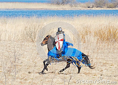 The horse knight in an armour