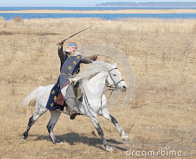 Horse knight with a sword in a hand