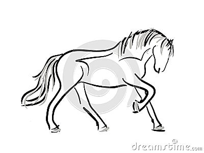 Horse line art sketch