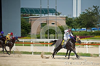 Horse racing