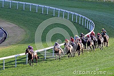 Horse racing competition