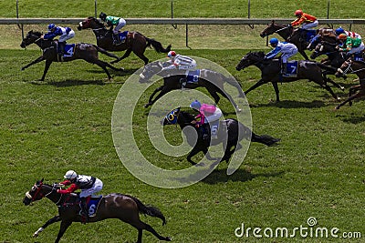 Horse Racing Final Sprint