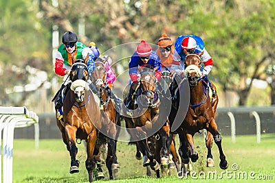 Horse Racing Jockey Action