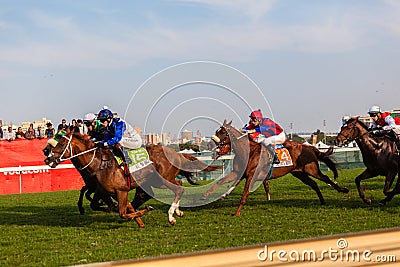 Horse Racing Jockeys Betting Public