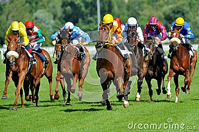 san siro horse racing san siro horse racing