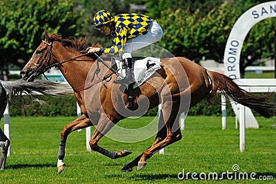 Horse racing in Milan, Italy