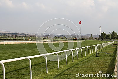 Horse Racing Track