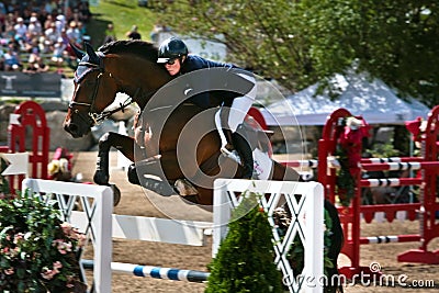 Horse Rider at the Bromont jumping competition