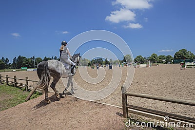 Horse Rider Equestrian Arena