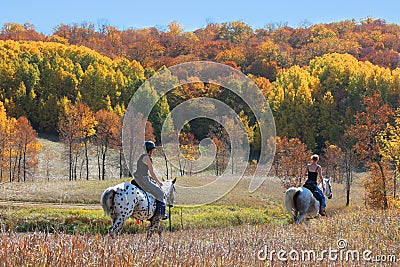 Horse Trail in Fall Colors