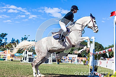 Equestrian Horse White Woman Upright Jump