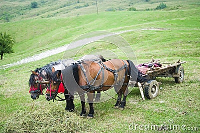 Horses and cart