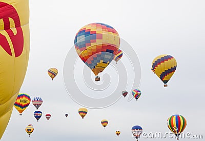 Hot Air Balloons in Flight