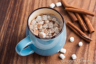 Hot chocolate with mini marshmallow and cinnamon