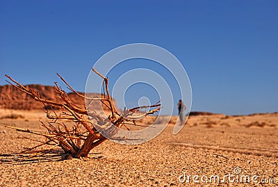 Hot desert in africa