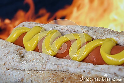 Hot dog with red sausage meat and mustard