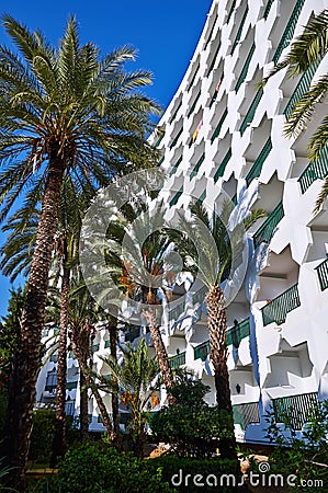 Hotel building and palm trees