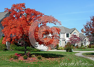 House and autumn landscape