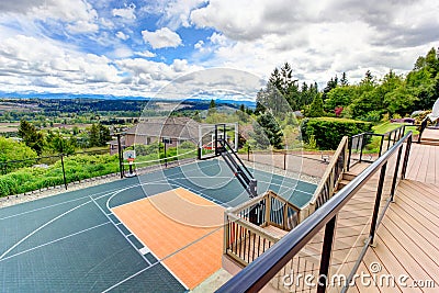 House backyard with sport court and patio area. View from walkou