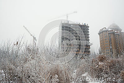 House on the branches of trees covered with frost backgroundBuilding crane and new building under construction on the background o