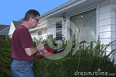 House Home Maintenance Repair Trim Hedges Shrubs