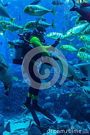 Huge aquarium in Dubai. Diver feeding fishes.