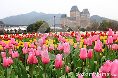 Huis Ten Bosch (theme park)