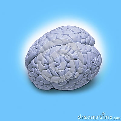 Human Brain