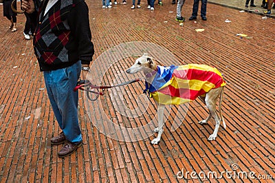 Human chain for the catalan independence