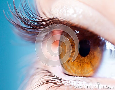 human-eyelashes-close-up-17856274.jpg