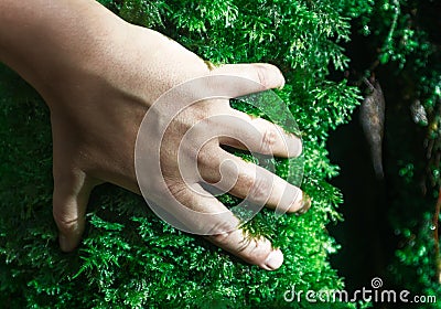 Human hand over moss