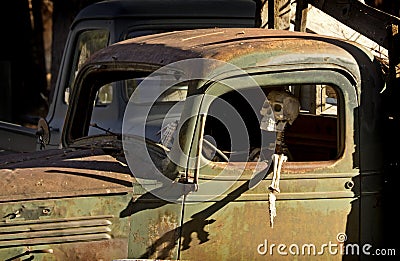 Human skeleton In Vintage Green Truck