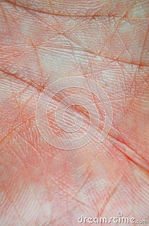 picture of up human skin macro epidermis texture csp17528076 search stock photography human skin macro stock photo image 50834552 picture of up human skin macro epidermis texture csp17528076 search stock photography human skin macro stock photo image 50834552