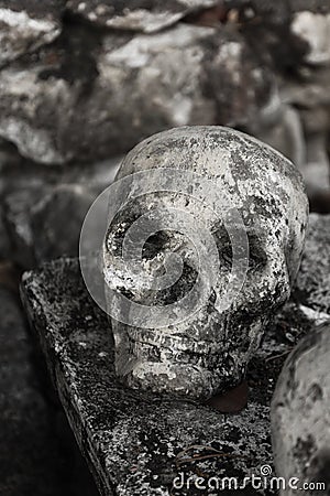 Human skulll in the temple