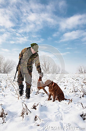 Hunting dog fetching the pheasant to the hunter