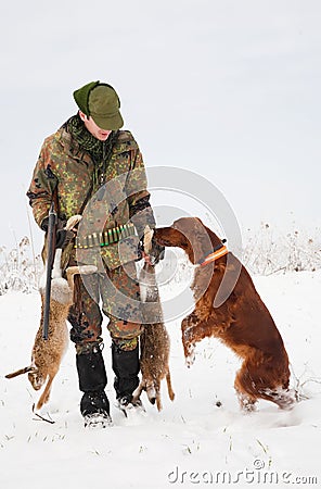 Hunting dog fetching the prey to the hunter