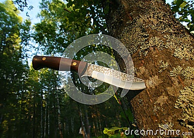 Hunting knife in tree trunk
