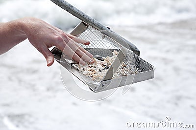 Hunting for shark teeth on Venice beach Florida