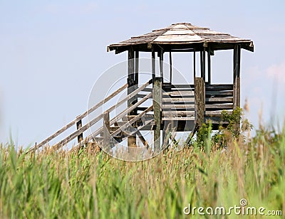 Hut for bird watching and bird life in the midst of the reeds in