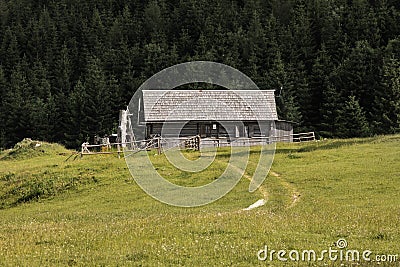 Hut in the Woods