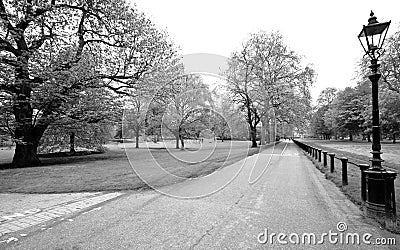Hyde park, black & white shot